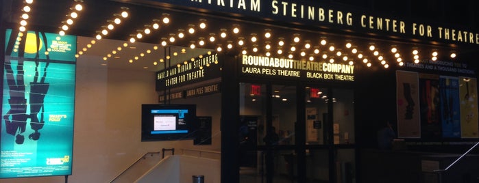 Laura Pels Theatre at the Harold & Miriam Steinberg Center for Theatre is one of New York Theaters.