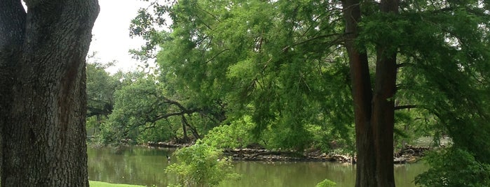 Audubon Park is one of New Orleans- Honeymoon.