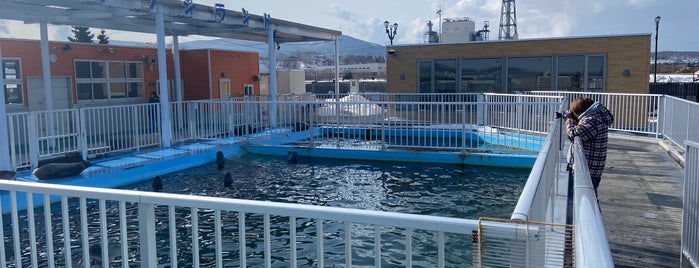 オホーツクとっかりセンター is one of 日本の水族館 Aquariums in Japan.