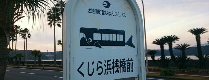くじら浜桟橋前バス停 is one of 紀南.