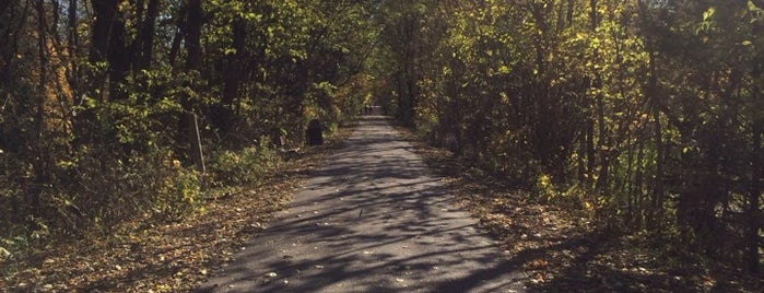 Constitution Trail @ Tipton Park is one of Posti che sono piaciuti a Ray.