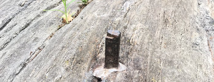 1811 Survey Bolt - Central Park is one of Kimmieさんの保存済みスポット.