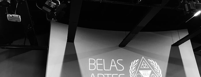Centro Universitário Belas Artes is one of work.