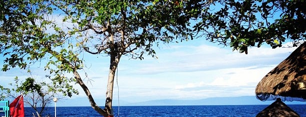 Balicasag Island is one of Best Philippines.
