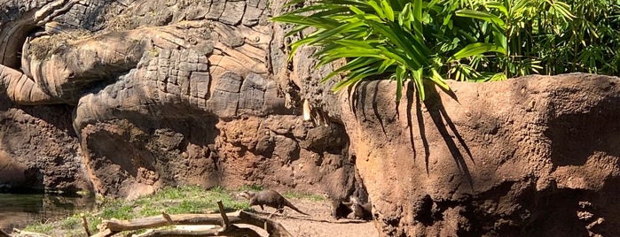 Otter Grotto is one of Andrew : понравившиеся места.