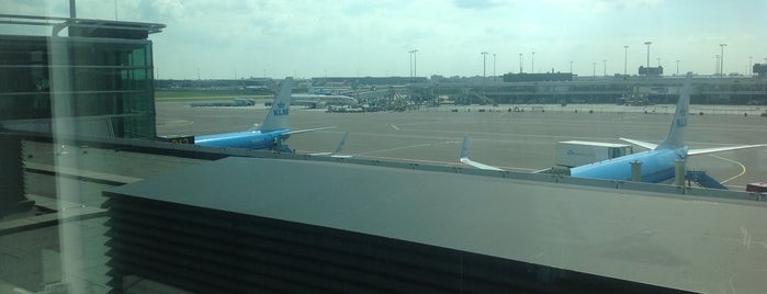 Gate D7 is one of Schiphol gates.