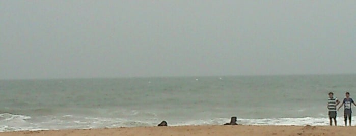 Candolim Beach is one of Beach locations in India.