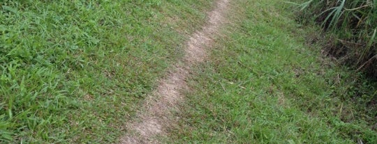 The Rail Corridor (Central) | Rainforest (Hindhede) is one of Trek Across Singapore.