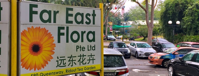 Far East Flora is one of Tino : понравившиеся места.