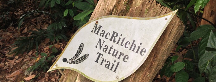 MacRitchie Nature Trails is one of Running.