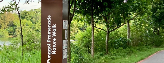 Punggol Promenade Nature Walk is one of I  love Place.