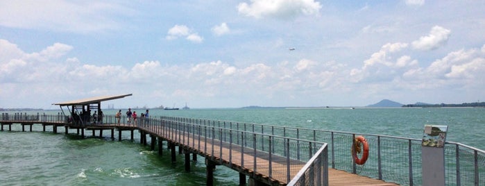 Chek Jawa Coastal Boardwalk is one of Trek Across Singapore.