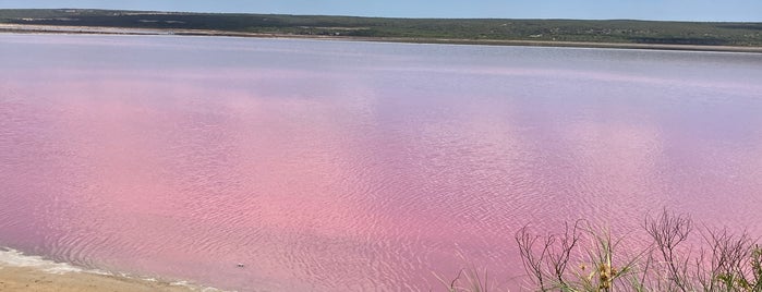 Hutt Lagoon (Pink Lake) is one of Australia with JetSetCD.