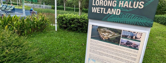 Lorong Halus Wetland is one of Favourite.