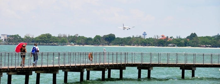 Chek Jawa Coastal Boardwalk is one of Riann : понравившиеся места.
