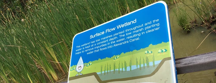 Alexandra Canal Park Connector's Wetland is one of James’s Liked Places.