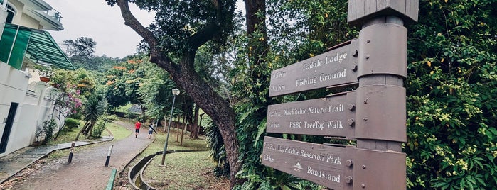 Saint Theresa's Home Entrance | MacRitchie Reservoir Park is one of Singapur.