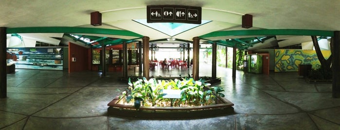 Amenities Centre is one of Singapur.