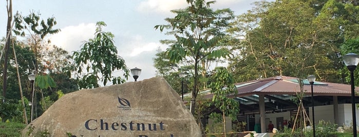 Chestnut Nature Park is one of Micheenli Guide: Peaceful sanctuaries in Singapore.