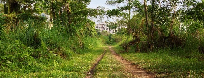 The Rail Corridor (South) | Buona Vista is one of Hiking Trails.