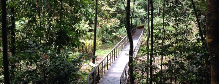 Central Catchment Nature Reserve (CCNR) is one of Trek Across Singapore.