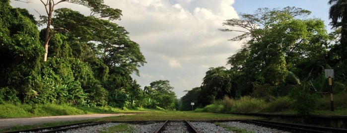 The Rail Corridor is one of Trek Across Singapore.