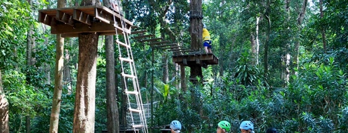 Tree Top Challenge | Club Med Cherating Beach is one of All-time Favorites in Malaysia.