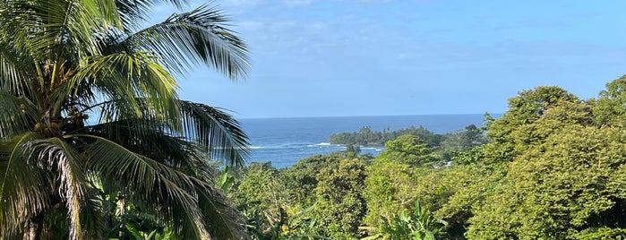 Playa Rana Roja is one of Bocas.