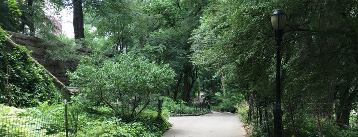 Riverside Park is one of NYC's Greatest Parks.