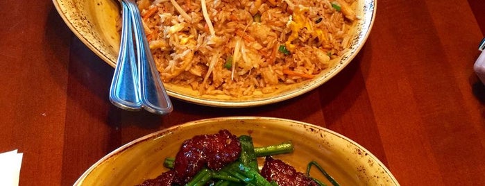 P.F. Chang's is one of The Best Chinese Food in Miami.
