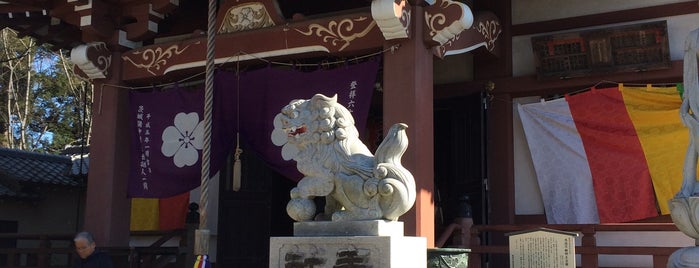 Nenogongen (Tenryu-ji Temple) is one of JPN45-RL.