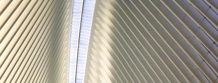 World Trade Center Transportation Hub (The Oculus) is one of Mikeさんのお気に入りスポット.