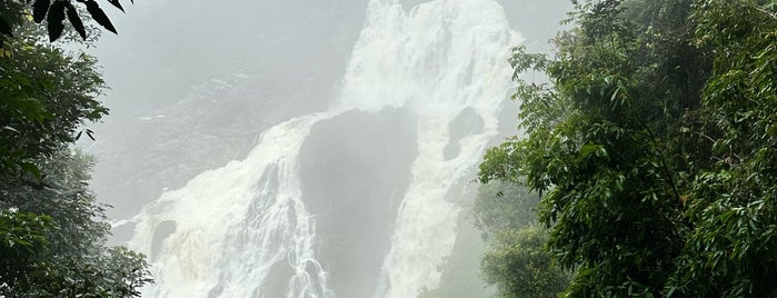 Barron Falls is one of Pacific Trip.