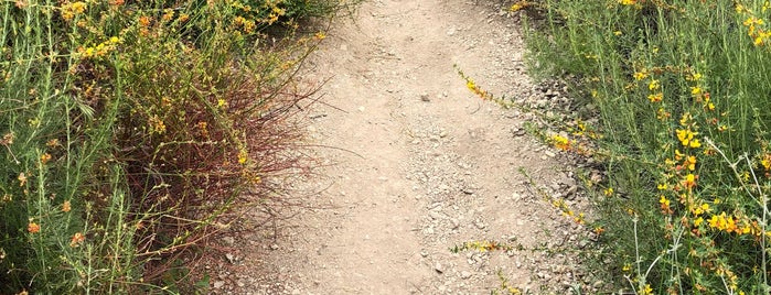 Rustic Canyon Trail is one of Lugares favoritos de Marco.