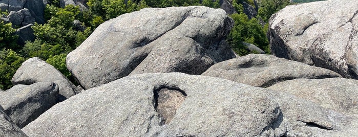 Old Rag Mountain is one of Priority date places.