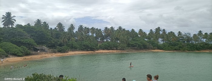 Ilha De Santo Aleixo is one of Karolさんのお気に入りスポット.