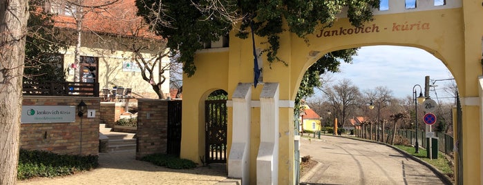 Jankovich Kúria Hotel és Étterem is one of HU countryside.