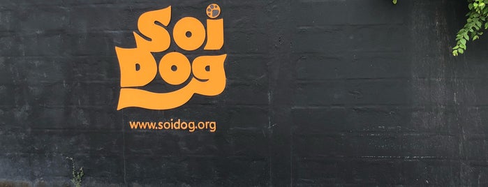 Soi Dog Foundation is one of thailand.