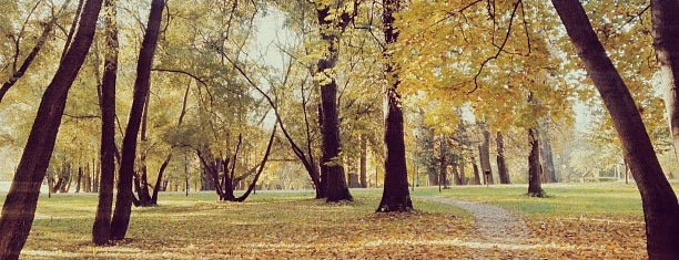 Парк «Сад будущего» is one of Walk & Art (Moscow).