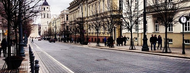 Gediminas Avenue is one of Vilnius & Kaunas.