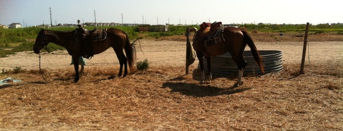 S-n-G Horseback Riding, is one of Leila: сохраненные места.