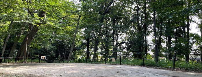 三井の森公園 is one of 観光地.