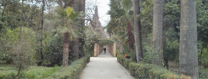 Национальный сад is one of Atina.