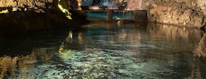 Grutas de São Vicente is one of Madeira.