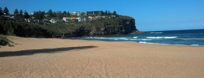 Bilgola Beach is one of Lugares favoritos de Darren.