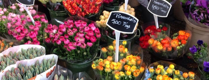Цветочный рынок is one of Amsterdam.