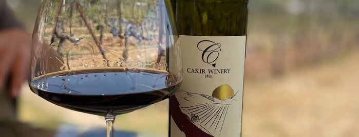 Çakır Winery & Vineyards is one of URLA THINGS TO DO.