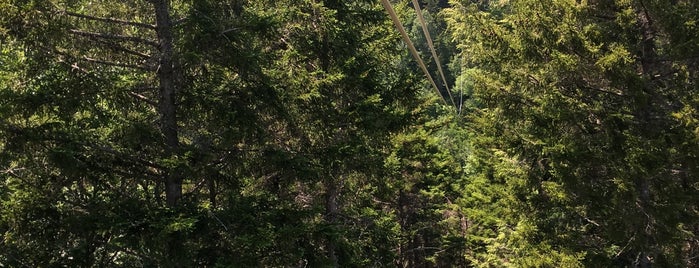 Bretton Woods Canopy Tour is one of Things to try!!!.