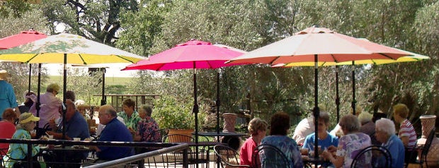Sandy Oaks Olive Orchard is one of A San Antonio Foodie Tour.