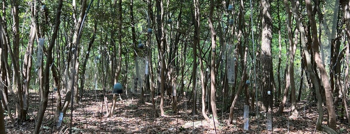 La Forêt des Murmures is one of Art Setouchi & Setouchi Triennale - 瀬戸内国際芸術祭.